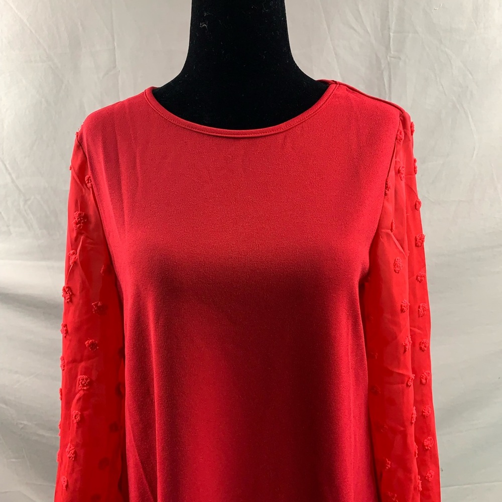 Red Swiss Dot Sheer Sleeve Dress - Picture 7 of 9